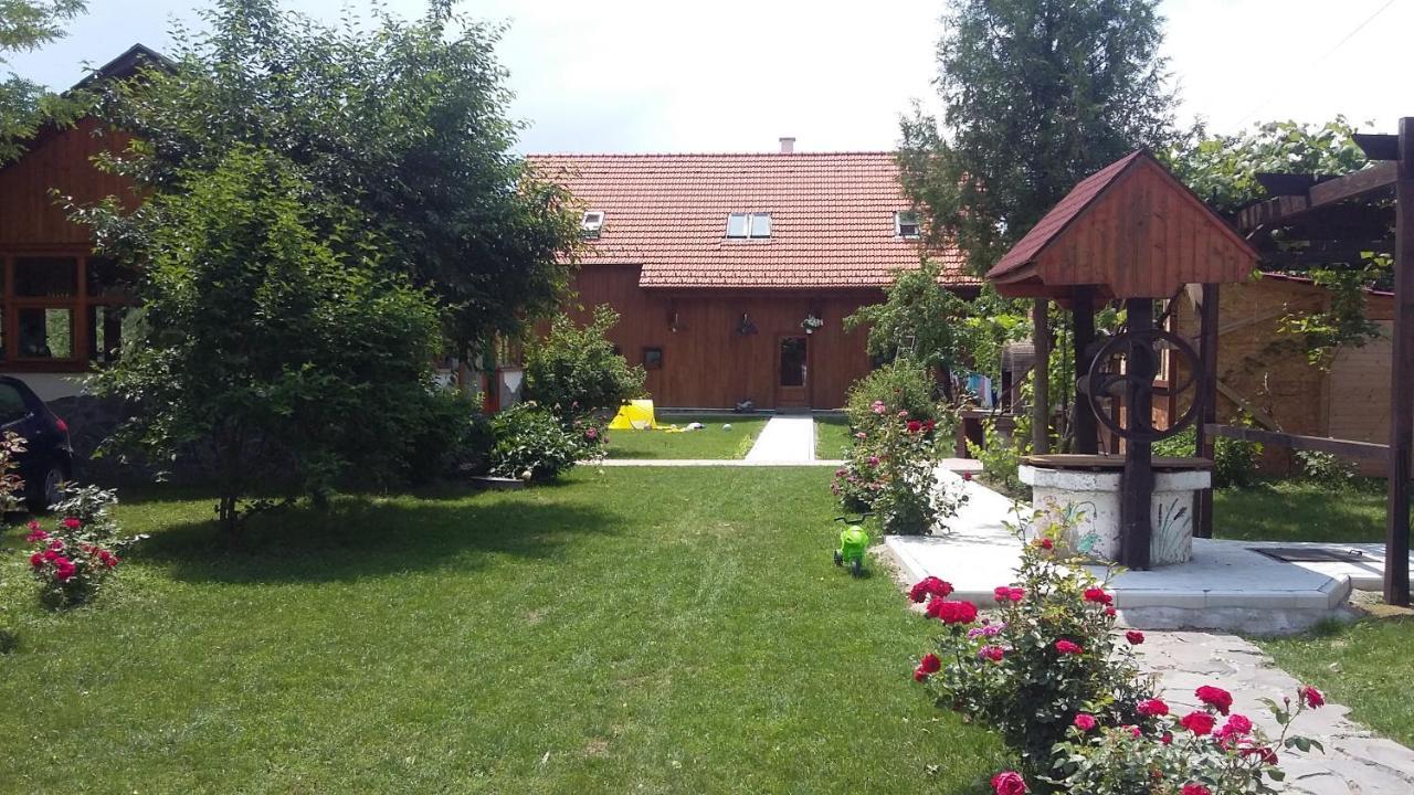 Albinuta Guesthouse Ozun Exterior photo