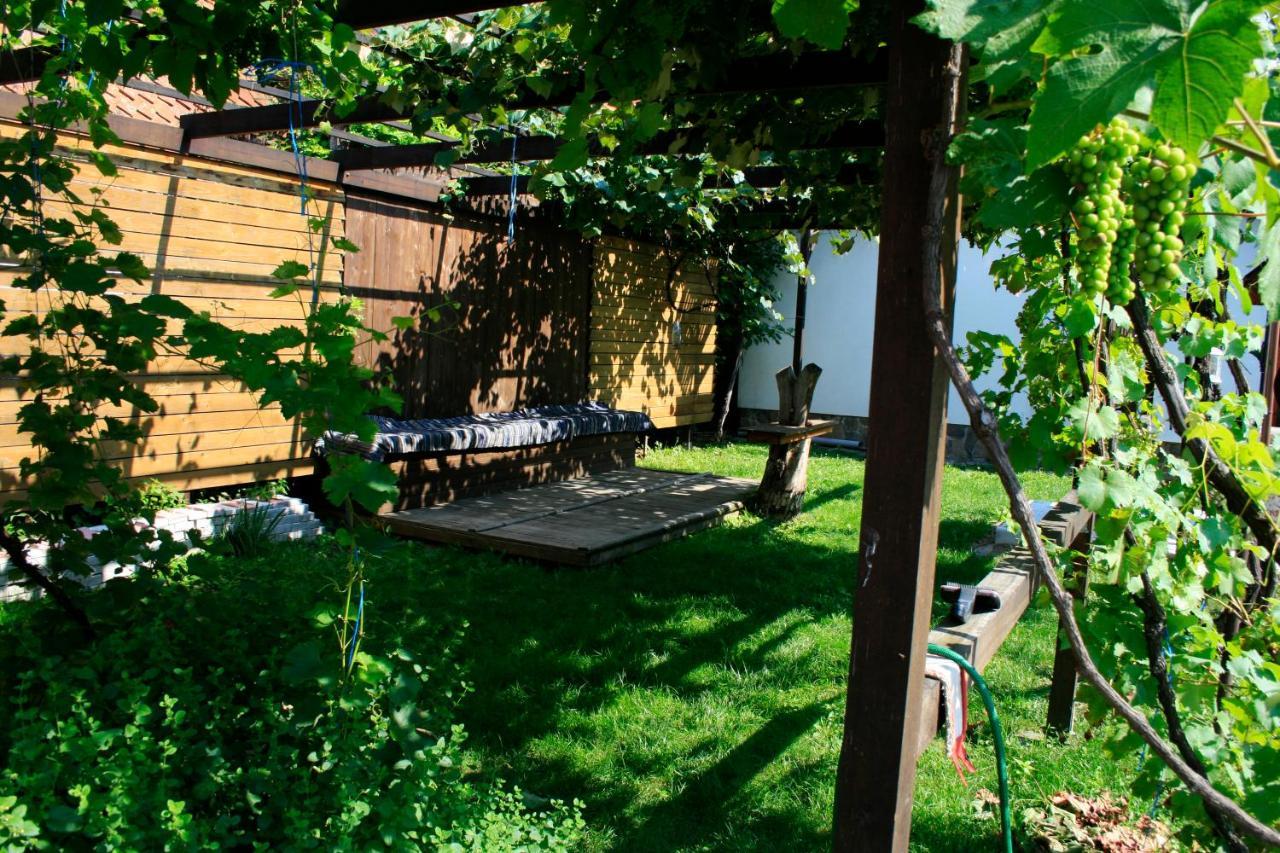 Albinuta Guesthouse Ozun Exterior photo