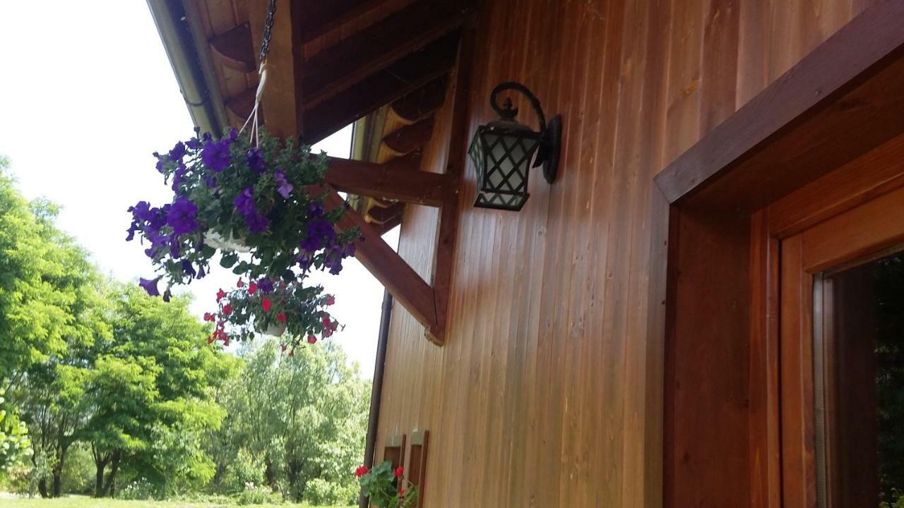 Albinuta Guesthouse Ozun Exterior photo